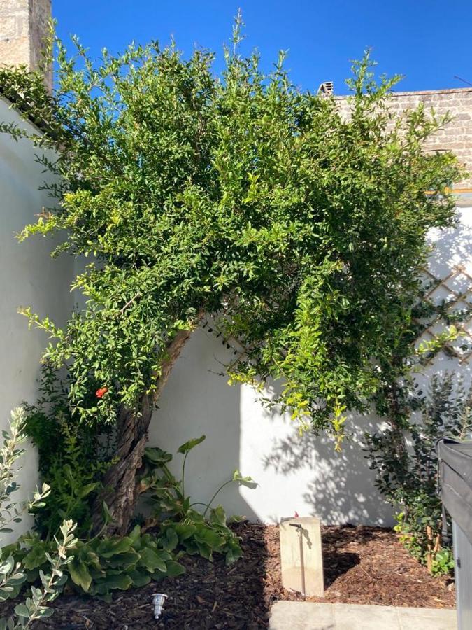 Il Palmento B&B Palmariggi Kültér fotó
